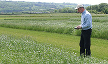 Get more from your grassland with top-performing mixtures